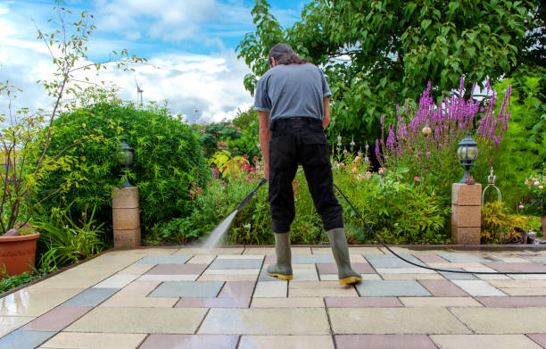 Best Residential Pressure Washing in Williamson, WV