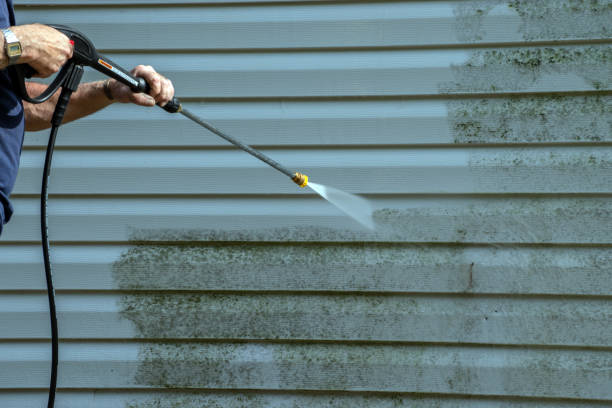 Best Pool Deck Cleaning in Williamson, WV