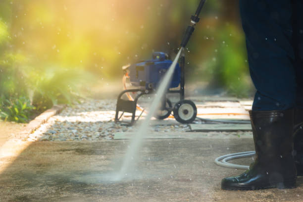 Best Soft Washing for Delicate Surfaces in Williamson, WV